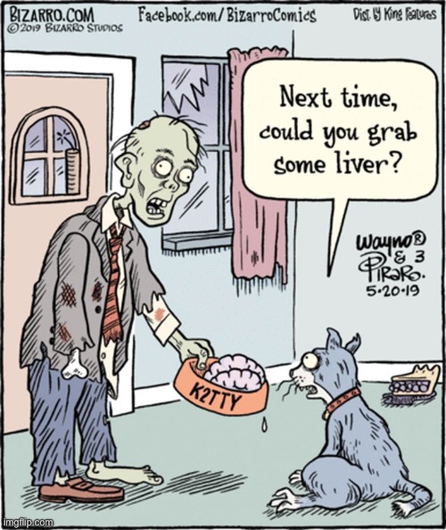 He can’t help it. He’s a zombie… | image tagged in cats,comics,bizarro comics,feed the kitty,brain | made w/ Imgflip meme maker