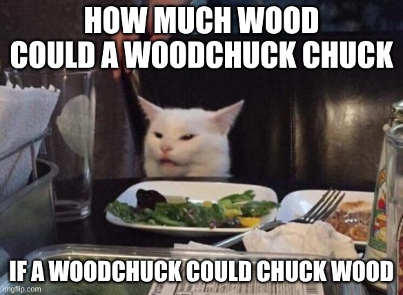 I felt like it okay? | HOW MUCH WOOD COULD A WOODCHUCK CHUCK; IF A WOODCHUCK COULD CHUCK WOOD | image tagged in salad cat | made w/ Imgflip meme maker