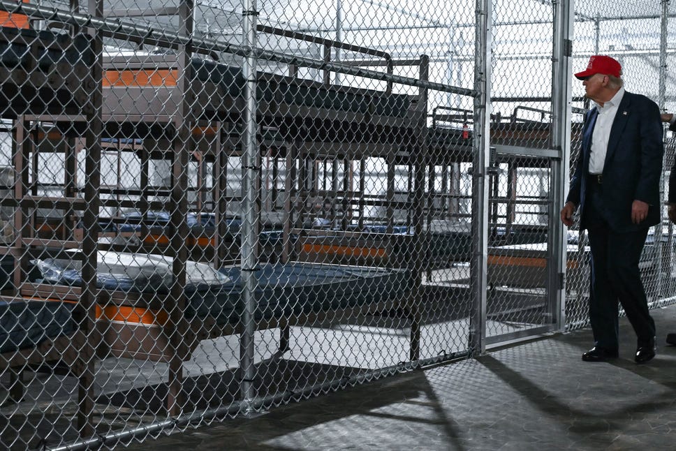 High Quality Alligator Alcatraz Blank Meme Template