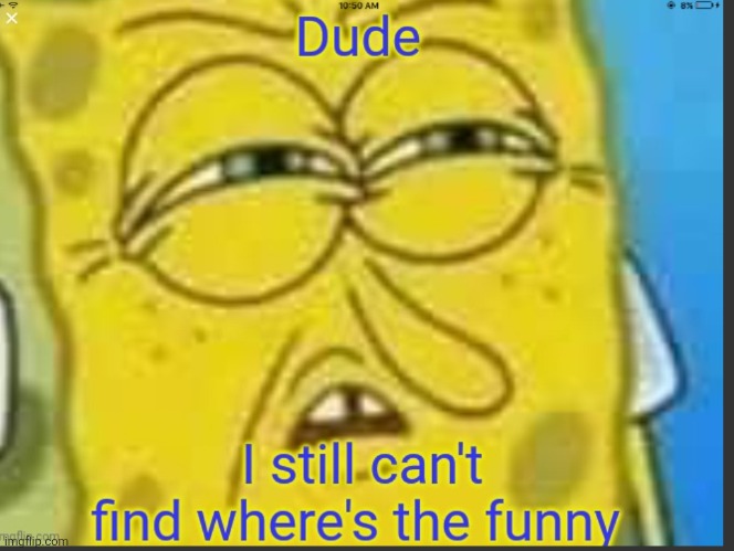 Dude I still can't find the funny | image tagged in dude i still can't find the funny | made w/ Imgflip meme maker