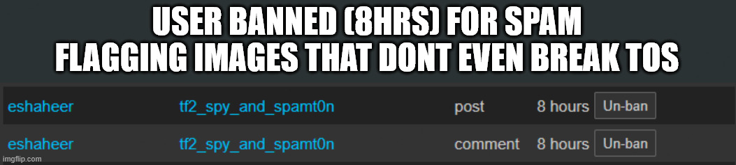 if he harasses anyone after the ban lmk | USER BANNED (8HRS) FOR SPAM FLAGGING IMAGES THAT DONT EVEN BREAK TOS | made w/ Imgflip meme maker