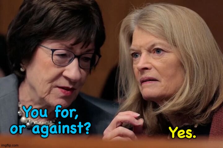 Collins Murkowski | You for, or against? Yes. | image tagged in collins murkowski | made w/ Imgflip meme maker