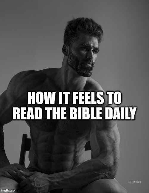 Giga Chad | HOW IT FEELS TO READ THE BIBLE DAILY | image tagged in giga chad | made w/ Imgflip meme maker