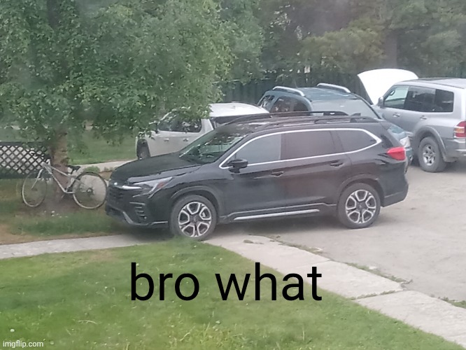 dumb fuck | bro what | made w/ Imgflip meme maker