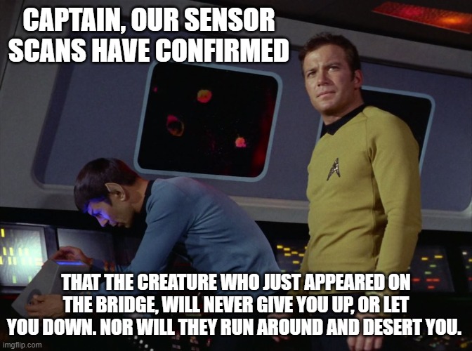 star trek spock | CAPTAIN, OUR SENSOR SCANS HAVE CONFIRMED; THAT THE CREATURE WHO JUST APPEARED ON THE BRIDGE, WILL NEVER GIVE YOU UP, OR LET YOU DOWN. NOR WILL THEY RUN AROUND AND DESERT YOU. | image tagged in star trek spock,rickroll | made w/ Imgflip meme maker