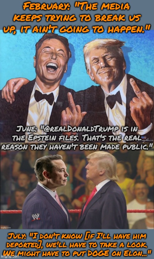 The most powerful country in the world versus the richest man in the world. | February: "The media keeps trying to break us up, it ain't going to happen."; June: "@realDonaldTrump is in the Epstein files. That's the real reason they haven't been made public."; July: "I don't know [if I'll have him
deported], we'll have to take a look.
We might have to put DOGE on Elon..." | image tagged in elon trump middle finger,musk vs elon,friendship ended,bromance,bitter,just divorced | made w/ Imgflip meme maker