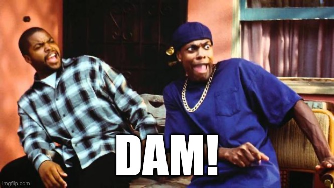 DAM! | image tagged in ice cube damn | made w/ Imgflip meme maker