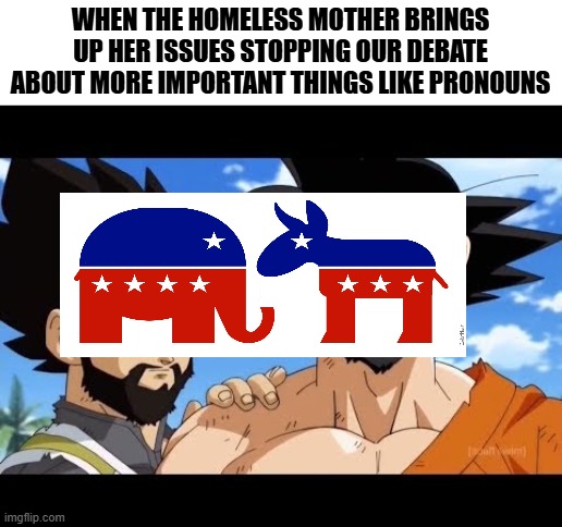 Goku and Vegeta | WHEN THE HOMELESS MOTHER BRINGS UP HER ISSUES STOPPING OUR DEBATE ABOUT MORE IMPORTANT THINGS LIKE PRONOUNS | image tagged in goku and vegeta | made w/ Imgflip meme maker