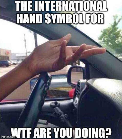 The International Hand Symbol For WTF Are You Doing? | THE INTERNATIONAL HAND SYMBOL FOR; WTF ARE YOU DOING? | image tagged in chris joines | made w/ Imgflip meme maker