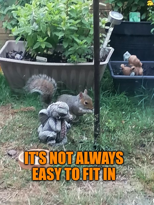 It's not always easy to fit in for autistic people | IT'S NOT ALWAYS EASY TO FIT IN | image tagged in autism,fit | made w/ Imgflip meme maker