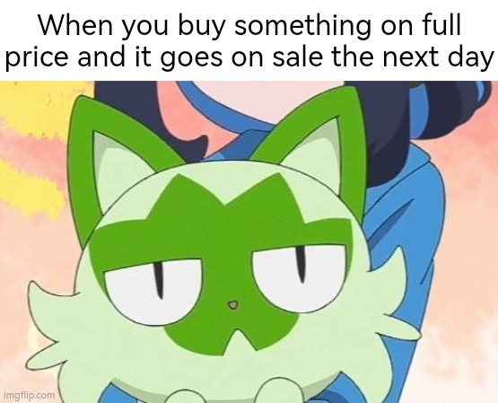 Always waiting until the sale part, otherwise say goodbye to some of your money. | When you buy something on full price and it goes on sale the next day | image tagged in price,sale | made w/ Imgflip meme maker