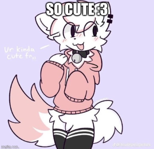 boykisser glow up | SO CUTE :3 | image tagged in boykisser glow up | made w/ Imgflip meme maker