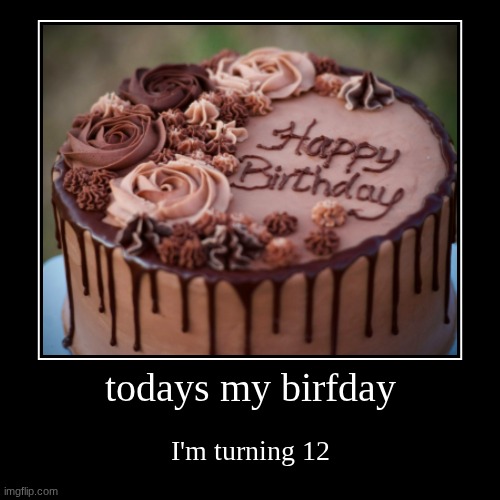 todays my birfday | I'm turning 12 | image tagged in funny,demotivationals | made w/ Imgflip demotivational maker