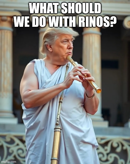 Greatest flutest by his own admission | WHAT SHOULD WE DO WITH RINOS? | image tagged in greatest flutest by his own admission | made w/ Imgflip meme maker