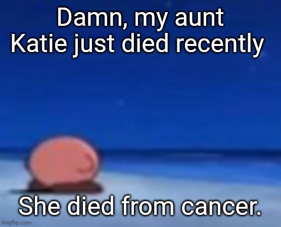 Im not going to post for a while. | Damn, my aunt Katie just died recently; She died from cancer. | image tagged in stupid fuck | made w/ Imgflip meme maker
