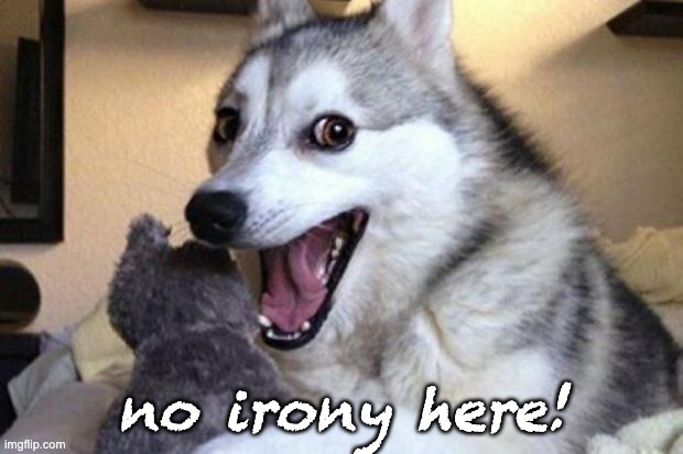 never!! | no irony here! | image tagged in bad pun dog,irony | made w/ Imgflip meme maker