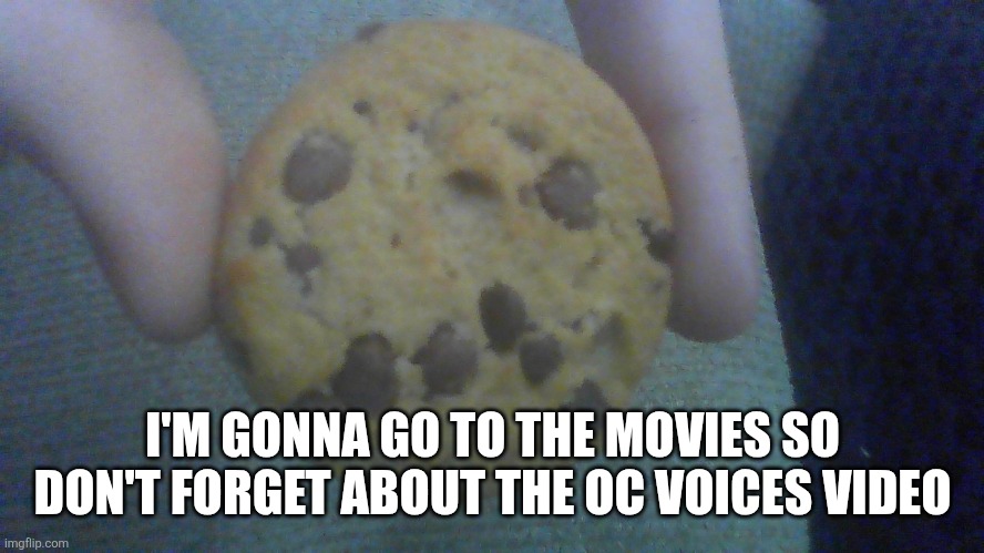 I'll make the video in the morning | I'M GONNA GO TO THE MOVIES SO DON'T FORGET ABOUT THE OC VOICES VIDEO | image tagged in sad cookie | made w/ Imgflip meme maker