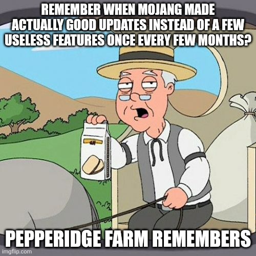 They're also being sued now | REMEMBER WHEN MOJANG MADE ACTUALLY GOOD UPDATES INSTEAD OF A FEW USELESS FEATURES ONCE EVERY FEW MONTHS? PEPPERIDGE FARM REMEMBERS | image tagged in memes,pepperidge farm remembers,mojang,minecraft,update,lazy | made w/ Imgflip meme maker
