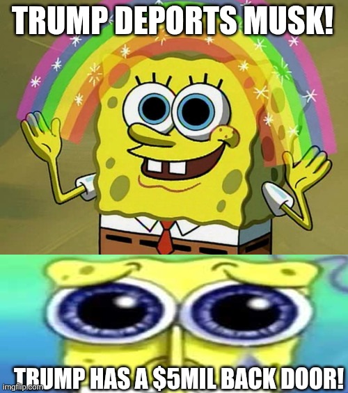 Logic escapes maga | TRUMP DEPORTS MUSK! TRUMP HAS A $5MIL BACK DOOR! | image tagged in memes,imagination spongebob,sad spong | made w/ Imgflip meme maker
