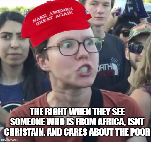 Maga Loser | THE RIGHT WHEN THEY SEE SOMEONE WHO IS FROM AFRICA, ISNT CHRISTAIN, AND CARES ABOUT THE POOR | image tagged in maga loser | made w/ Imgflip meme maker
