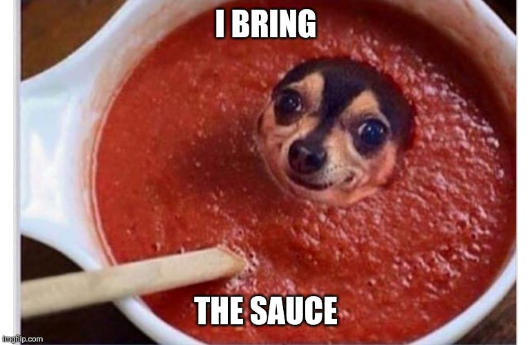 Sauce dawg | I BRING; THE SAUCE | image tagged in sauce dog | made w/ Imgflip meme maker