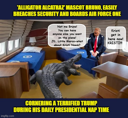 Donald Trump, never missing the opportunity to sacrifice a loyal lackey | 'ALLIGATOR ALCATRAZ' MASCOT BRUNO, EASILY BREACHES SECURITY AND BOARDS AIR FORCE ONE; Kristi get in here now! KRISTI!!! Not me Bruno! You can have anyone else you want on the plane! JD, Little Marco-what about Kristi Noem? CORNERING A TERRIFIED TRUMP DURING HIS DAILY PRESIDENTIAL NAP TIME | image tagged in impeach trump,donald trump memes,government corruption,prison,trump is a moron | made w/ Imgflip meme maker