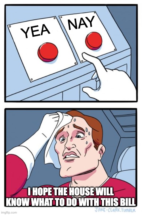Two Buttons | NAY; YEA; I HOPE THE HOUSE WILL KNOW WHAT TO DO WITH THIS BILL | image tagged in memes,two buttons | made w/ Imgflip meme maker