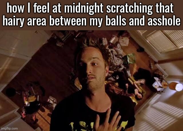 I was gonna make this a gif but the gif generator didn't work | how I feel at midnight scratching that 
hairy area between my balls and asshole | made w/ Imgflip meme maker