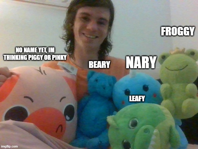 My stuffies <3 | FROGGY; NO NAME YET, IM THINKING PIGGY OR PINKY; NARY; BEARY; LEAFY | made w/ Imgflip meme maker