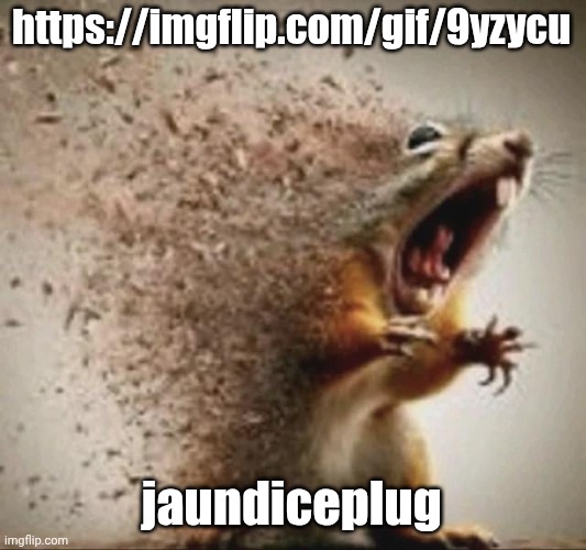https://imgflip.com/gif/9yzycu | https://imgflip.com/gif/9yzycu; jaundiceplug | image tagged in badass squirrel disintegrating | made w/ Imgflip meme maker