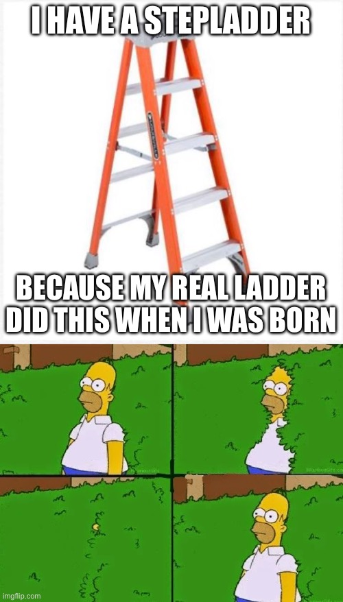 I HAVE A STEPLADDER; BECAUSE MY REAL LADDER DID THIS WHEN I WAS BORN | image tagged in stepladder,vanish | made w/ Imgflip meme maker