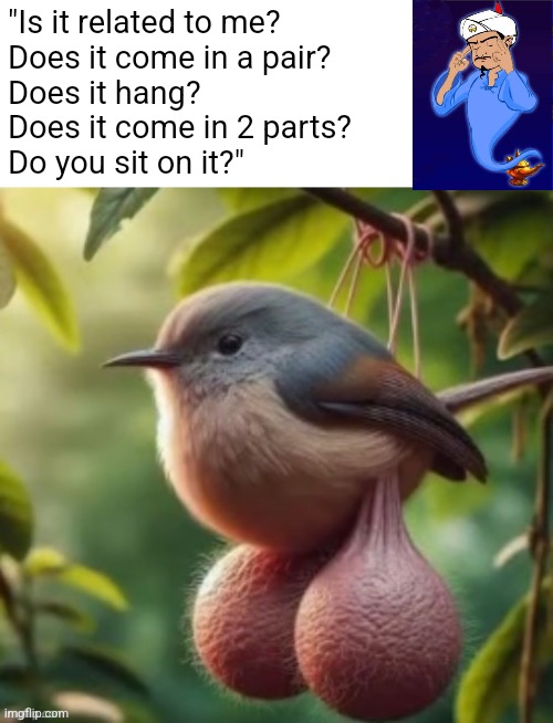 Freaky ahh gene T_T | "Is it related to me?
Does it come in a pair?
Does it hang?
Does it come in 2 parts?
Do you sit on it?" | image tagged in bird with balls | made w/ Imgflip meme maker