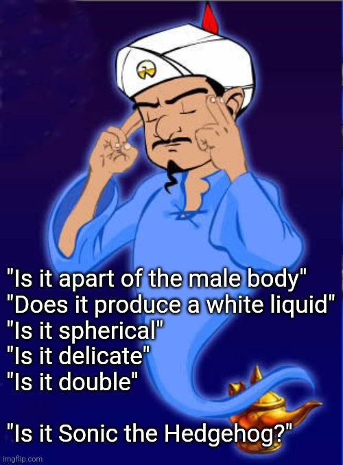 True story... | "Is it apart of the male body"
"Does it produce a white liquid"
"Is it spherical"
"Is it delicate"
"Is it double"
 
"Is it Sonic the Hedgehog?" | image tagged in akinator thinking | made w/ Imgflip meme maker