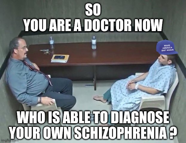 Are they in the room with us right now? | SO
YOU ARE A DOCTOR NOW WHO IS ABLE TO DIAGNOSE YOUR OWN SCHIZOPHRENIA ? | image tagged in are they in the room with us right now | made w/ Imgflip meme maker