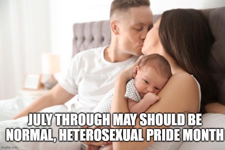 Happy normal couple with a baby | JULY THROUGH MAY SHOULD BE NORMAL, HETEROSEXUAL PRIDE MONTH | image tagged in happy normal couple with a baby | made w/ Imgflip meme maker
