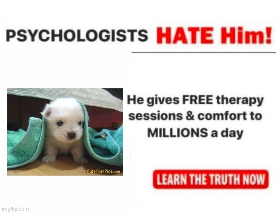 The best therapy | image tagged in psychologists hate him,puppy,cute,therapy,therapist | made w/ Imgflip meme maker