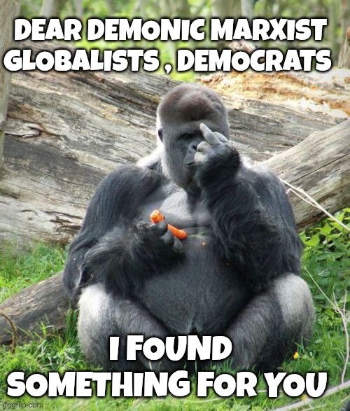 globalist memes | DEAR DEMONIC MARXIST GLOBALISTS , DEMOCRATS; I FOUND SOMETHING FOR YOU | image tagged in gorilla | made w/ Imgflip meme maker