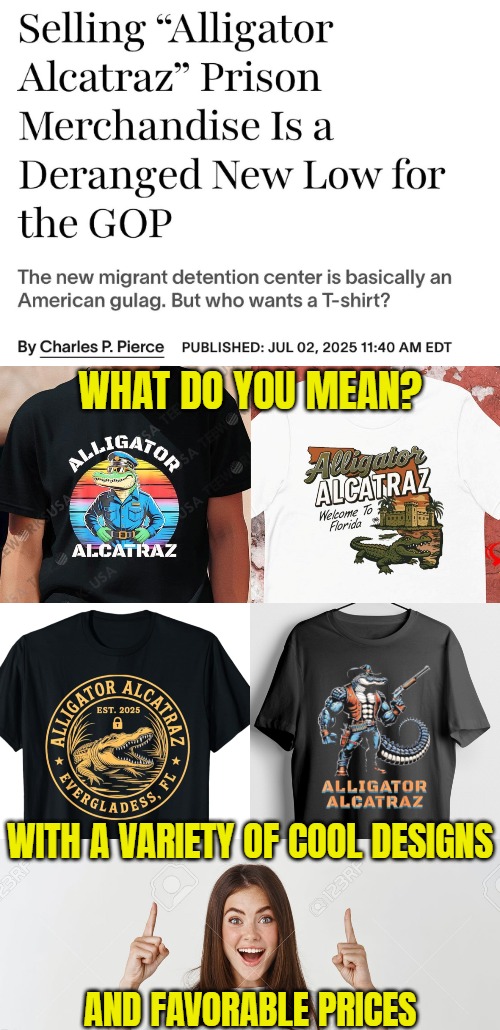 WHAT DO YOU MEAN? WITH A VARIETY OF COOL DESIGNS; AND FAVORABLE PRICES | image tagged in sarcasm,illegal immigrants,funny,american politics,deportation | made w/ Imgflip meme maker
