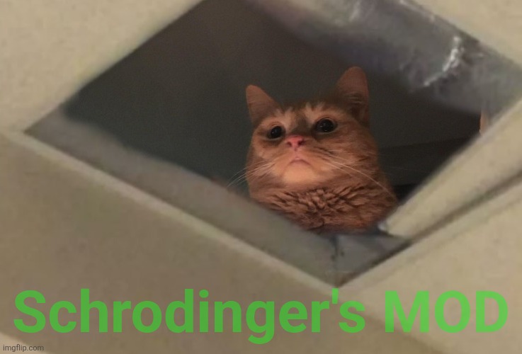 Cat looking down from ceiling pathetic | Schrodinger's MOD | image tagged in cat looking down from ceiling pathetic | made w/ Imgflip meme maker