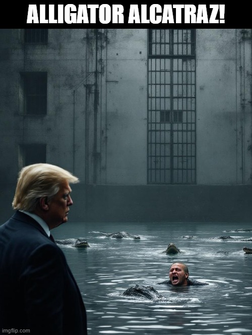 Alligator Alcatraz! | ALLIGATOR ALCATRAZ! | image tagged in alligators,illegal aliens | made w/ Imgflip meme maker