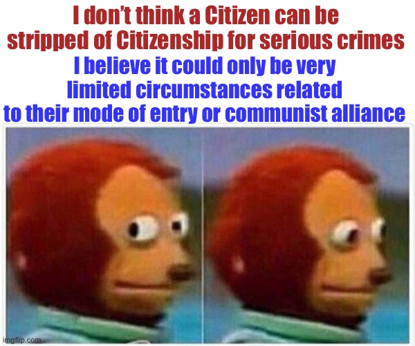 I don’t think a Citizen can be stripped of Citizenship for serious crimes I believe it could only be very limited circumstances related
to t | image tagged in memes,monkey puppet | made w/ Imgflip meme maker