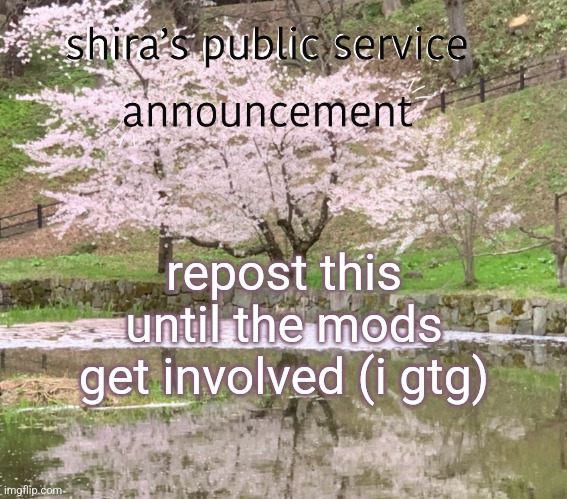shira’s PSA | repost this until the mods get involved (i gtg) | image tagged in shira s psa | made w/ Imgflip meme maker