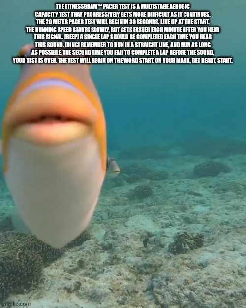 Fact-checked by Ronald | THE FITNESSGRAM™ PACER TEST IS A MULTISTAGE AEROBIC CAPACITY TEST THAT PROGRESSIVELY GETS MORE DIFFICULT AS IT CONTINUES. THE 20 METER PACER TEST WILL BEGIN IN 30 SECONDS. LINE UP AT THE START. THE RUNNING SPEED STARTS SLOWLY, BUT GETS FASTER EACH MINUTE AFTER YOU HEAR THIS SIGNAL. [BEEP] A SINGLE LAP SHOULD BE COMPLETED EACH TIME YOU HEAR THIS SOUND. [DING] REMEMBER TO RUN IN A STRAIGHT LINE, AND RUN AS LONG AS POSSIBLE. THE SECOND TIME YOU FAIL TO COMPLETE A LAP BEFORE THE SOUND, YOUR TEST IS OVER. THE TEST WILL BEGIN ON THE WORD START. ON YOUR MARK, GET READY, START. | image tagged in staring fish | made w/ Imgflip meme maker