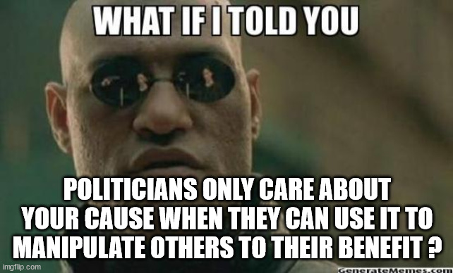 Political Manipulation | POLITICIANS ONLY CARE ABOUT YOUR CAUSE WHEN THEY CAN USE IT TO MANIPULATE OTHERS TO THEIR BENEFIT ? | image tagged in what if i told you,manipulation,activism,politicians | made w/ Imgflip meme maker