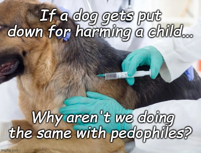 Children | If a dog gets put down for harming a child... Why aren't we doing the same with pedophiles? | image tagged in dogs,kids | made w/ Imgflip meme maker