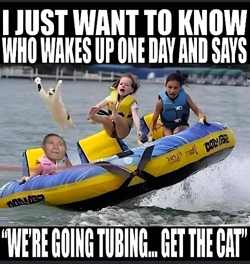 boat | image tagged in i should buy a boat cat,kewlew | made w/ Imgflip meme maker