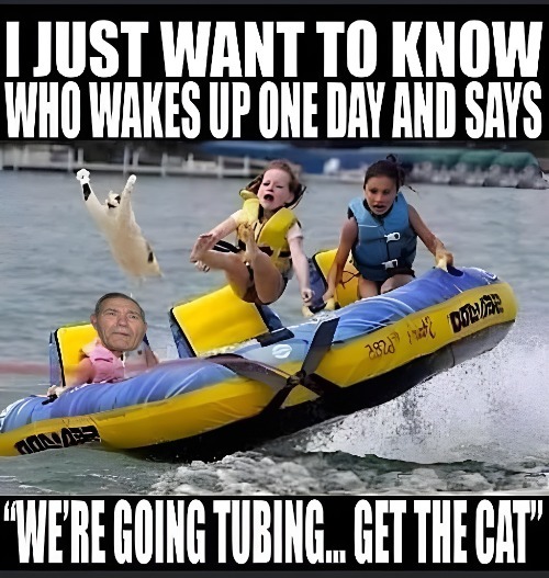 cat boat | image tagged in cat,boat,kewlew | made w/ Imgflip meme maker