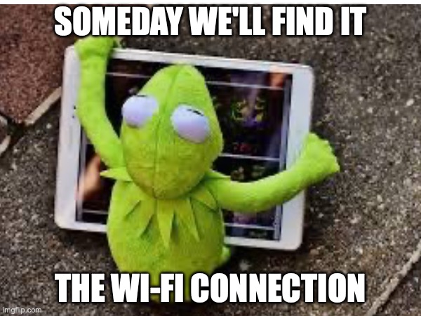 The Wi-Fi Connection | SOMEDAY WE'LL FIND IT; THE WI-FI CONNECTION | image tagged in memes,kermit the frog,kermit,muppets,funny | made w/ Imgflip meme maker