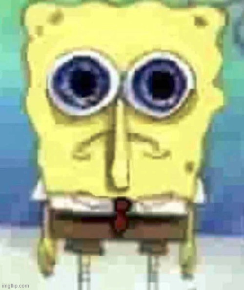 Traumatized spunch bop | image tagged in traumatized spunch bop | made w/ Imgflip meme maker