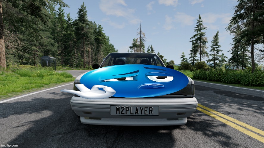 What | image tagged in beamng drive | made w/ Imgflip meme maker